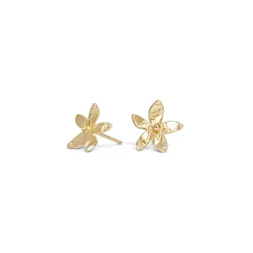 Everlee Stud Earrings